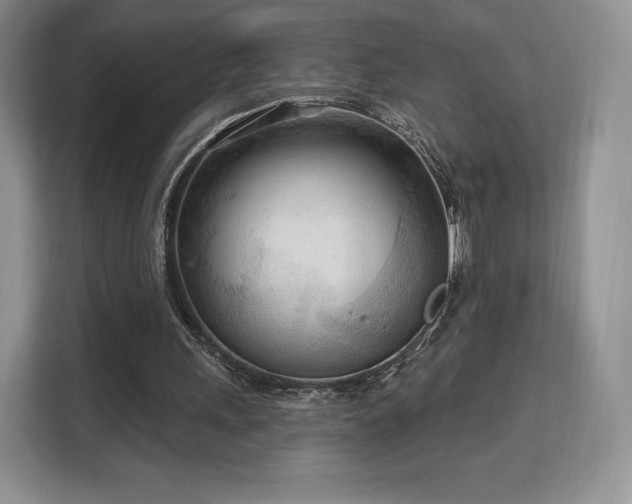 X0000113130243200909110919