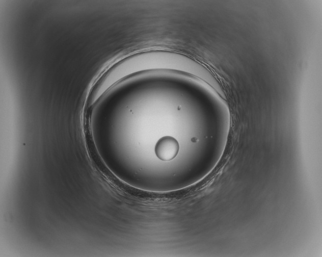 X0000113130244200909110919