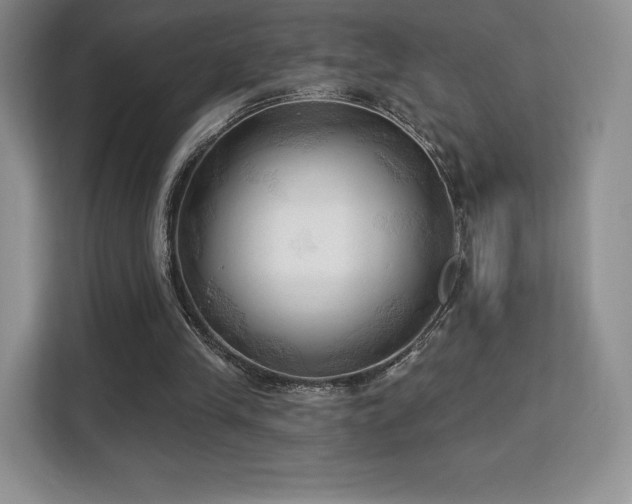 X0000113130245200909110919