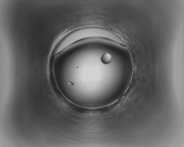 X0000113130248200909110919