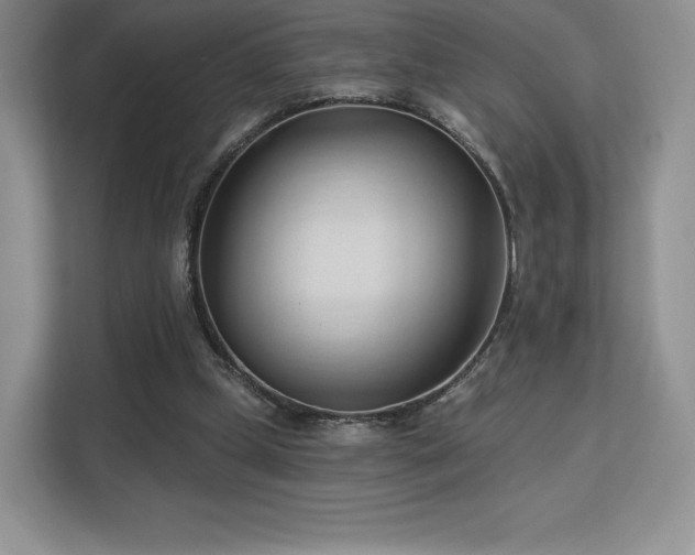 X0000113130249200909110919