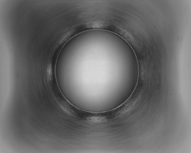 X0000113130251200909110919