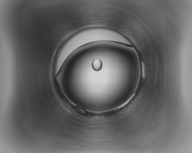 X0000113130252200909110920