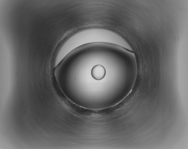 X0000113130256200909110920