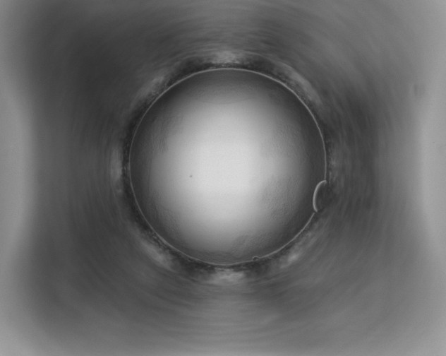 X0000113130257200909110920