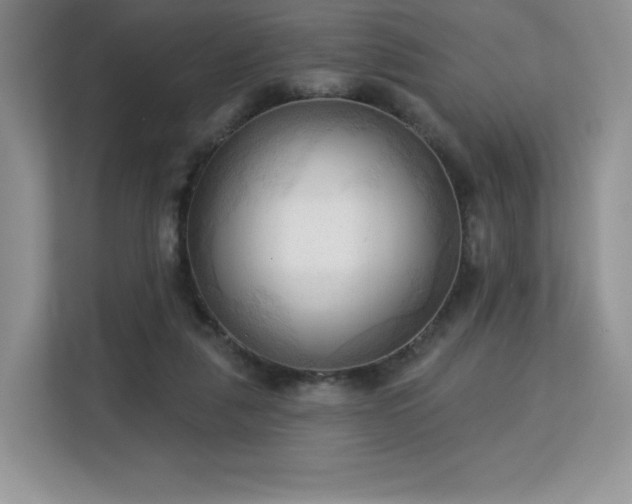 X0000113130259200909110920