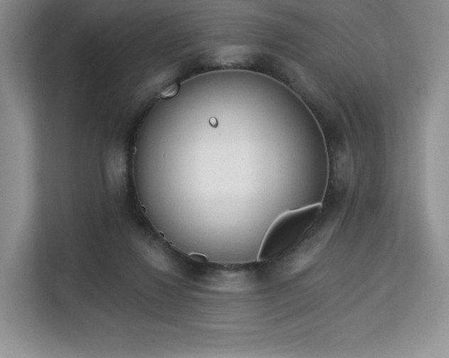 X0000113130260200909110920