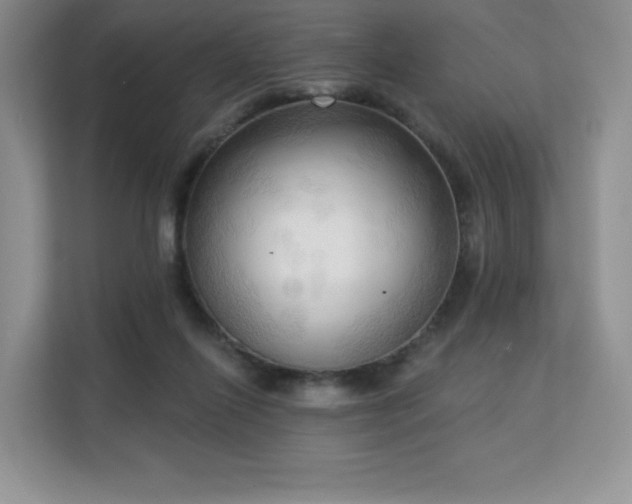 X0000113130262200909110920