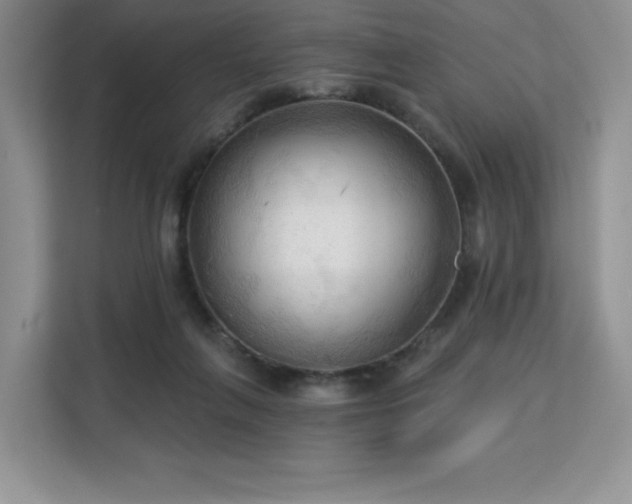 X0000113130263200909110920