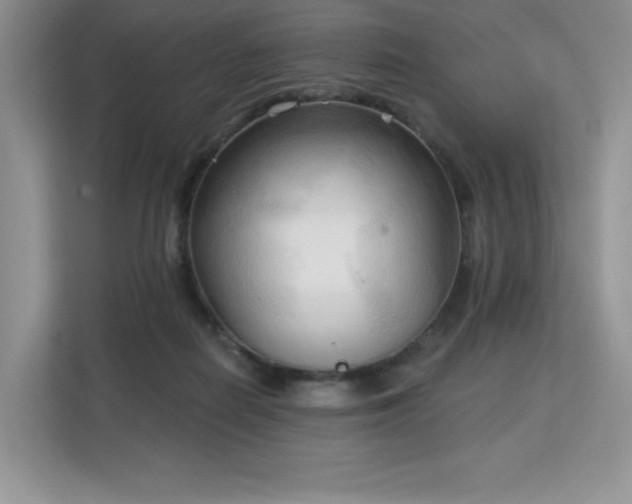 X0000113130266200909110920