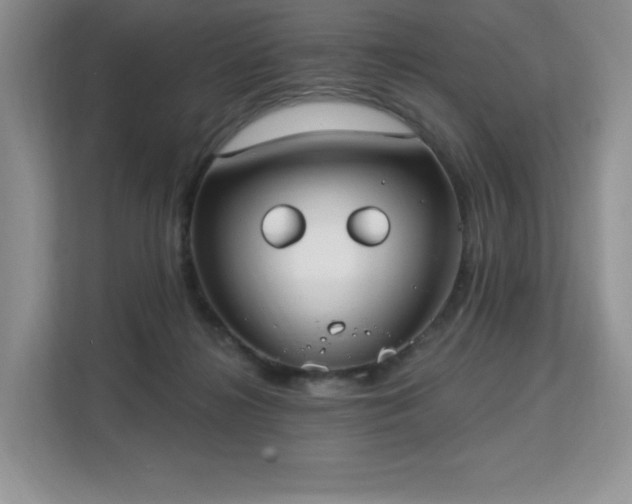 X0000113130268200909110920