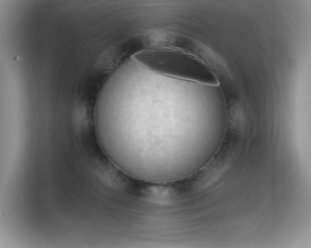 X0000113130272200909110920