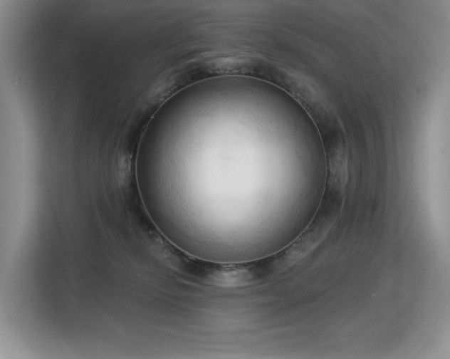 X0000113130278200909110920