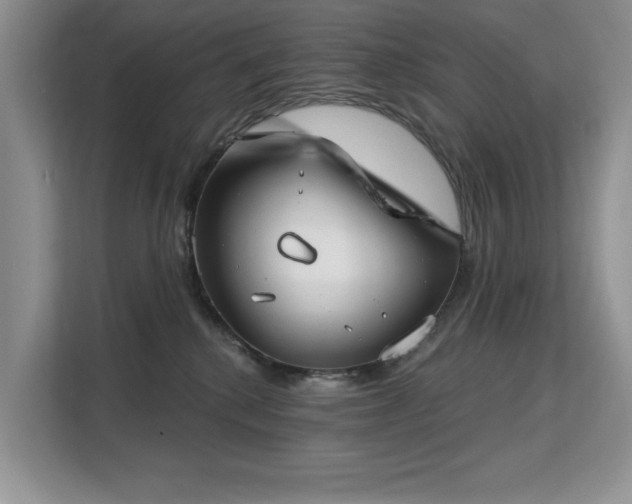 X0000113130280200909110920