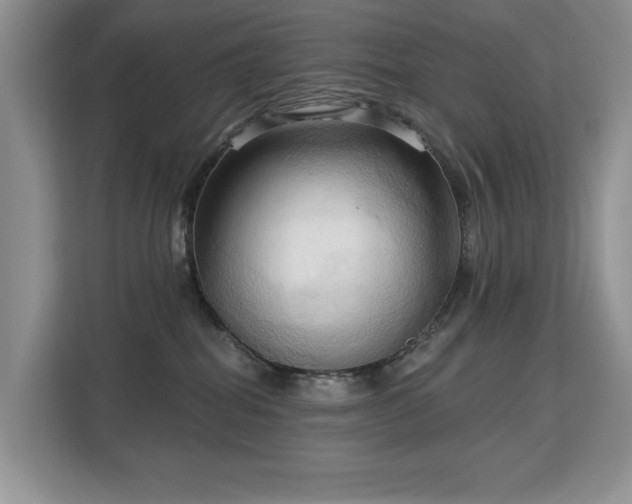 X0000113130282200909110920