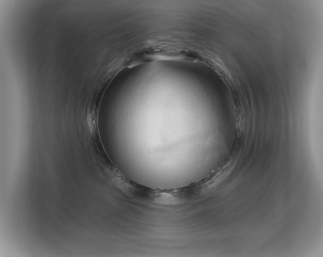 X0000113130285200909110920