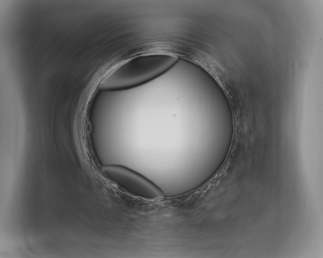 X0000113130289200909110919