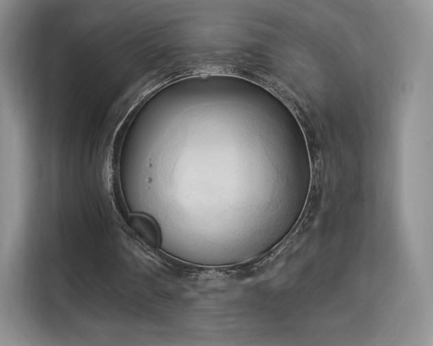 X0000113130290200909110919