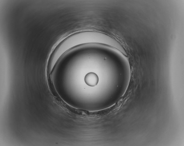 X0000113130292200909110919