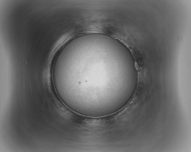 X0000113130293200909110919