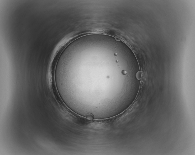 X0000113130294200909110919