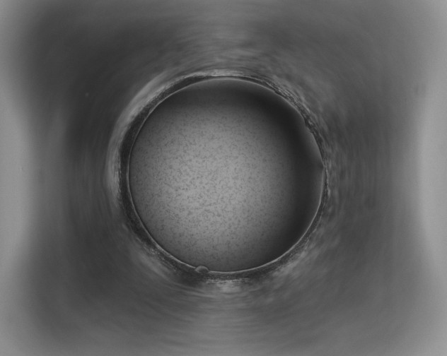 X0000113130295200909110919