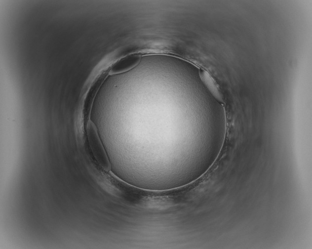 X0000113130296200909110919