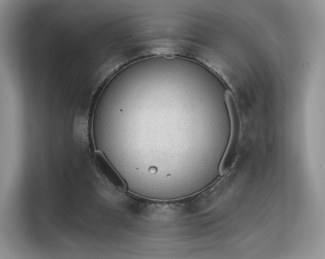 X0000113130297200909110919