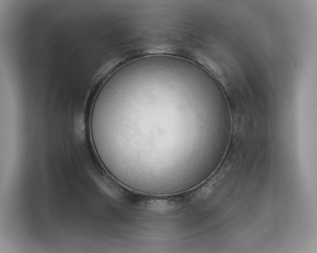 X0000113130298200909110919