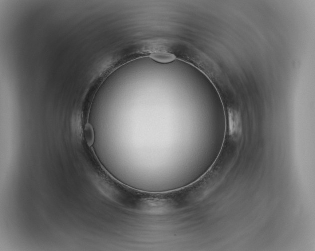 X0000113130300200909110919