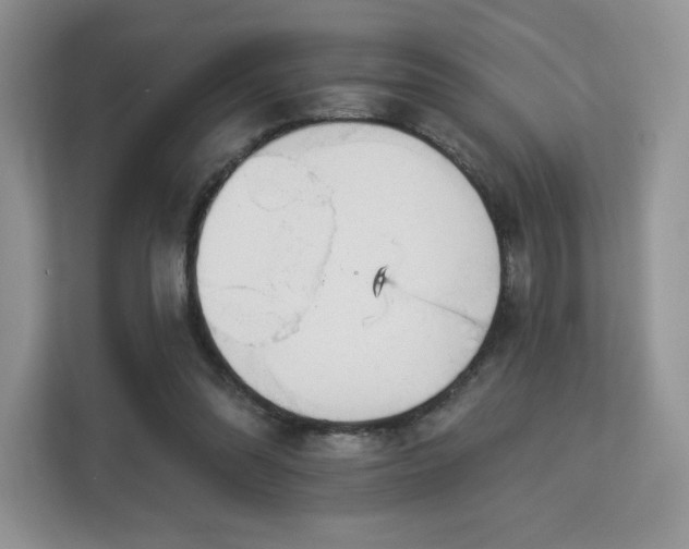 X0000113130302200909110919