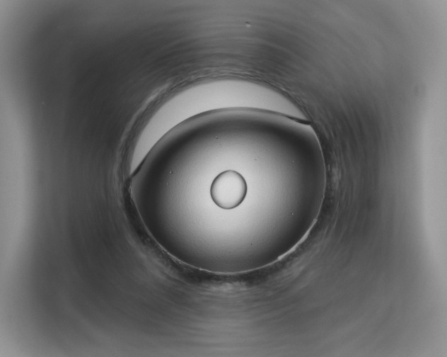 X0000113130304200909110919