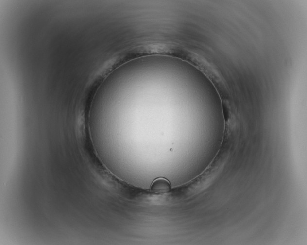 X0000113130306200909110919