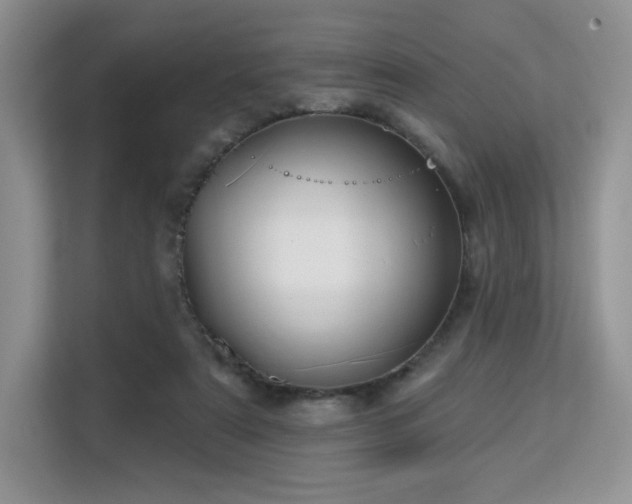 X0000113130307200909110919