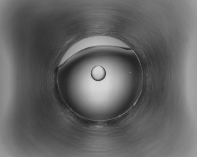 X0000113130308200909110919