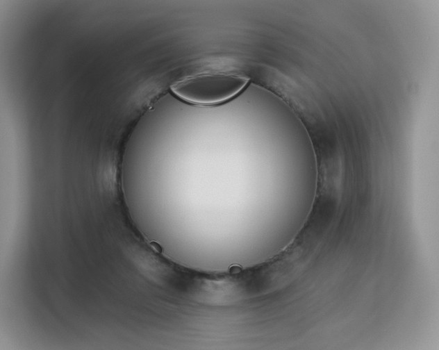 X0000113130309200909110919