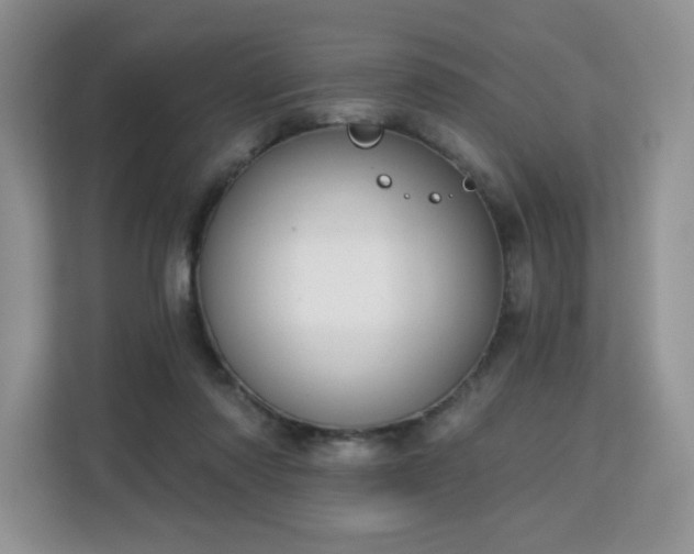 X0000113130310200909110919