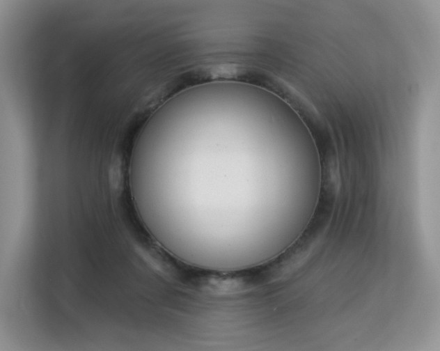 X0000113130311200909110919