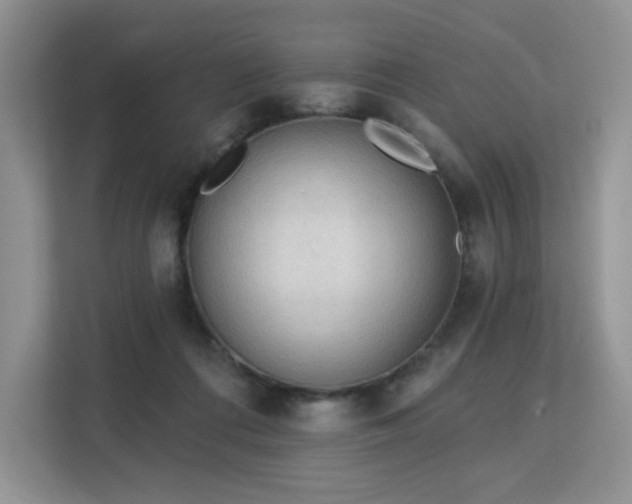 X0000113130312200909110919