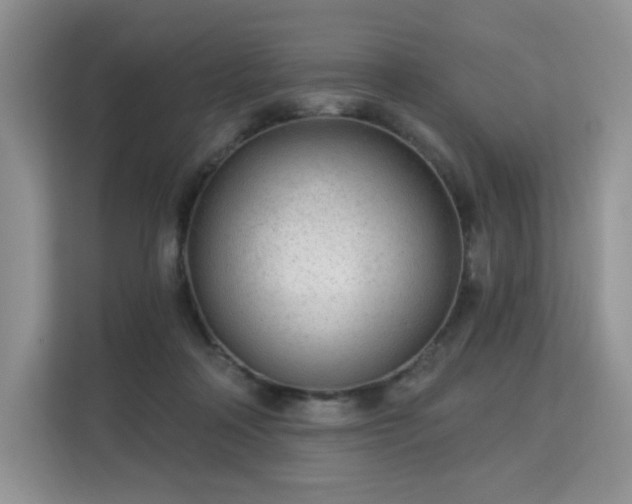 X0000113130314200909110919