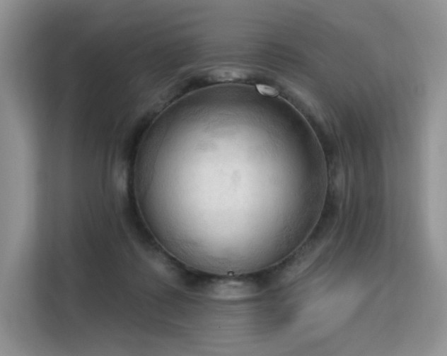 X0000113130315200909110919