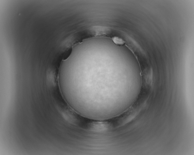 X0000113130316200909110919