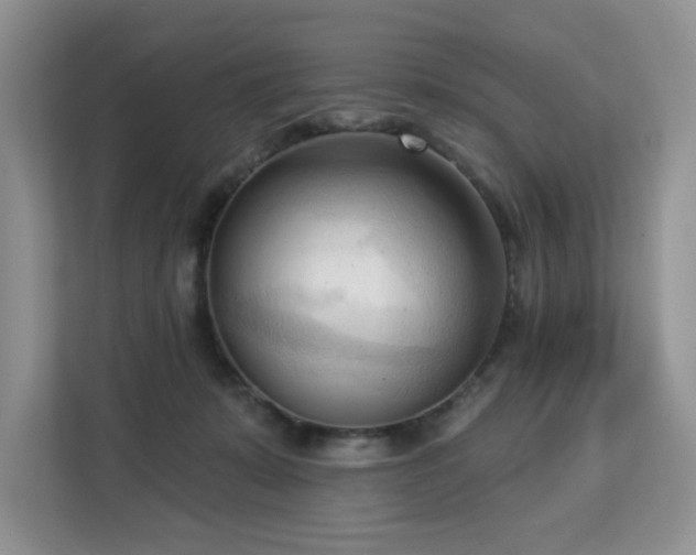 X0000113130319200909110919