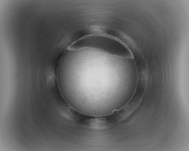 X0000113130320200909110919