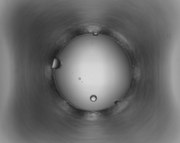 X0000113130321200909110919