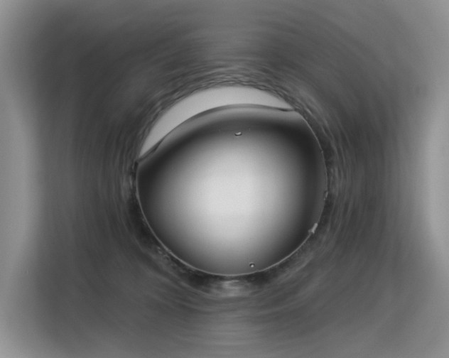 X0000113130324200909110919