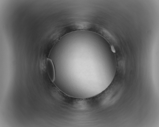 X0000113130325200909110919