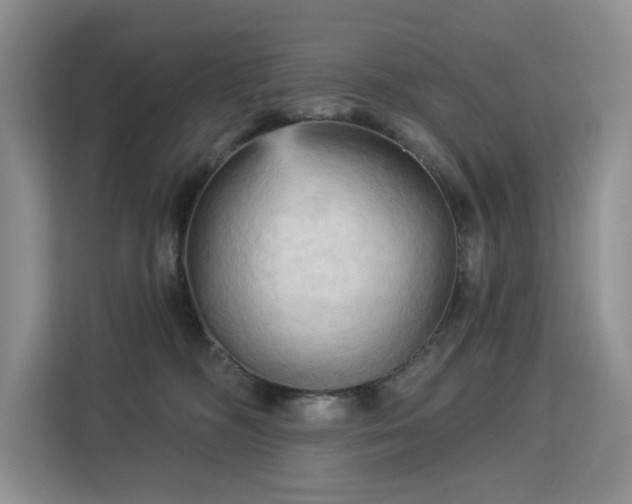 X0000113130326200909110919