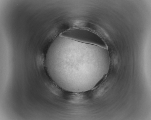 X0000113130328200909110919