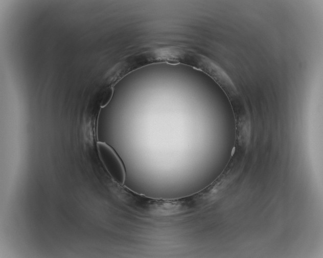 X0000113130329200909110919